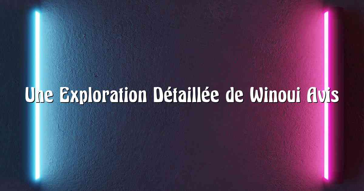 Une Exploration Détaillée de Winoui Avis